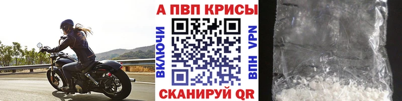 Альфа ПВП СК КРИС  Лагань 