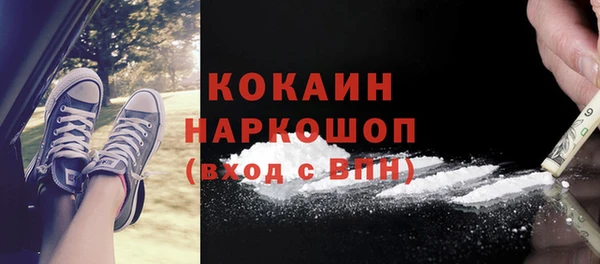 тгк Алзамай