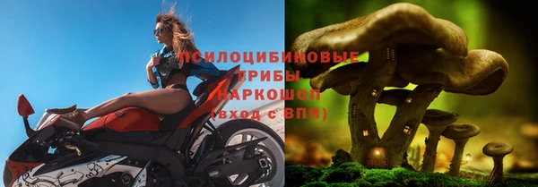 Альфа ПВП Алексин