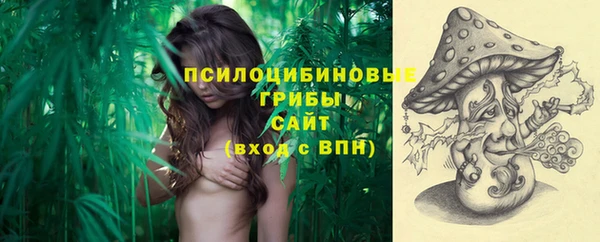 тгк Алзамай