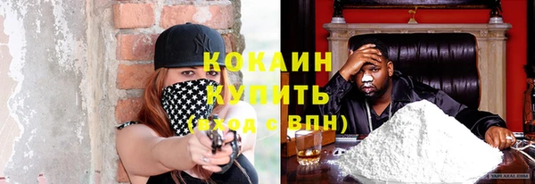 тгк Алзамай