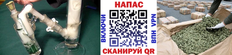 Бошки Шишки SATIVA & INDICA  Лагань 